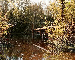 Unterkunft 444807 - Ferienhaus West Brabant - Yurt