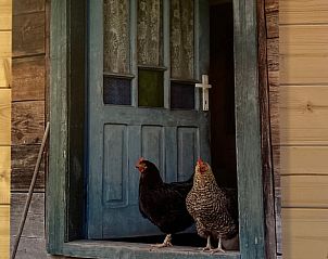 Unterkunft 445301 - Ferienhaus West Brabant - Vakantiehuisje in Oudenbosch