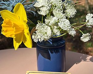 Guest house 445501 - Holiday property West Brabant - Vakantiehuisje in Teteringen