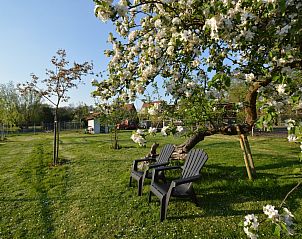 Verblijf 446301 - Vakantiewoning West Brabant - Pipowagen «de Weideblick»