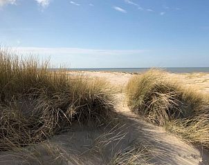 Unterkunft 450103 - Ferienhaus Noordzeekust - vakantieverblijf MARYO