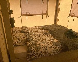 Guest house 4501195 - Tent house Noordzeekust - Luxe ingerichte safaritent