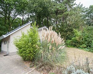 Unterkunft 450159 - Ferienhaus Noord-Holland noord - Boshof