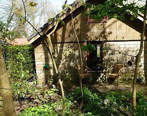 Rustiek terras van Huisje no. 10 in Schoorl, Noord-Holland, omgeven door groene natuur aan de Noordzeekust.