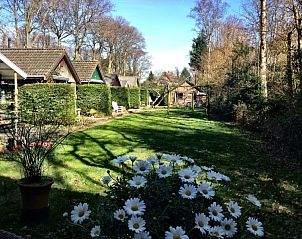Ruime tuin bij Huisje no. 10, vakantiehuis in Schoorl, Noord-Holland, met prachtig uitzicht op de natuur.