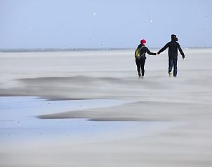 Tulpenvelden in de omgeving van Julianadorp aan Zee, vlakbij Duynopgangh 46.