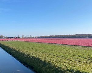 Guest house 4502100 - Holiday property Noordzeekust - Vakantiehuis mit gepflegtem Garten in Julianadorp