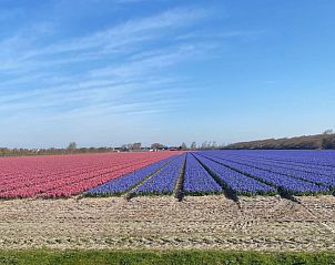 Guest house 4502100 - Holiday property Noordzeekust - Vakantiehuis mit gepflegtem Garten in Julianadorp