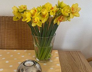 Guest house 4502100 - Holiday property Noordzeekust - Vakantiehuis mit gepflegtem Garten in Julianadorp