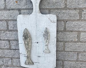 Guest house 4502100 - Holiday property Noordzeekust - Vakantiehuis mit gepflegtem Garten in Julianadorp