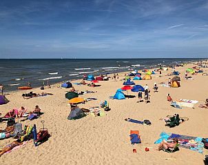 Guest house 4502101 - Holiday property Noordzeekust - Vakantiehuis Sch�nes Ferienhaus Strandopgang in Julianadorp