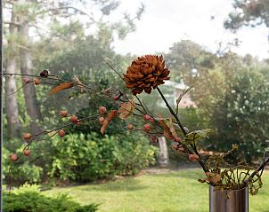 Verblijf 450233 - Vakantiewoning Noordzeekust - De Strandvogel