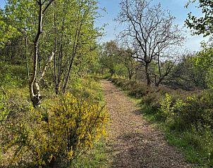 Verblijf 450233 - Vakantiewoning Noordzeekust - De Strandvogel