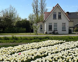 Verblijf 450235 - Vakantiewoning Noordzeekust - Bollenzicht