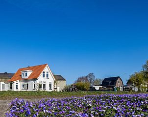 Verblijf 450235 - Vakantiewoning Noordzeekust - Bollenzicht