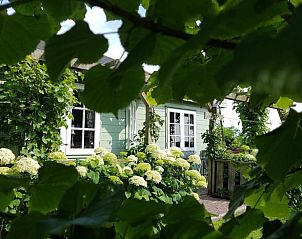 Groene gevel van Vakantiehuis in Julianadorp, Noordzeekust, omgeven door weelderige natuur.