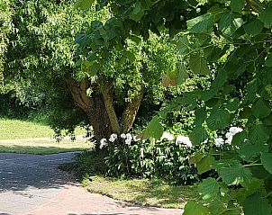 Schaduwrijke tuinpad bij Vakantiehuis in Julianadorp, Noordzeekust, Noord-Holland.