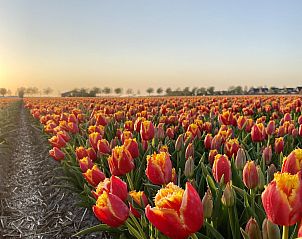 Unterkunft 450273 - Ferienhaus Noordzeekust - Strandslag 225 Julianadorp aan zee