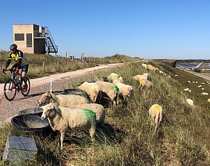 Unterkunft 450273 - Ferienhaus Noordzeekust - Strandslag 225 Julianadorp aan zee