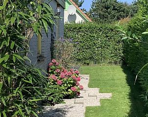 Unterkunft 450279 - Ferienhaus Noordzeekust - 93498