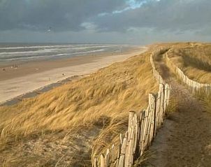 Unterkunft 4503140 - Ferienhaus Noordzeekust - Vakantiehuis mit Terrasse