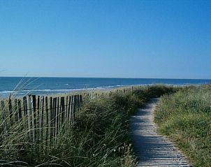 Unterkunft 4503152 - Ferienhaus Noordzeekust - Vakantiehuis 