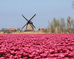 Unterkunft 4503152 - Ferienhaus Noordzeekust - Vakantiehuis 