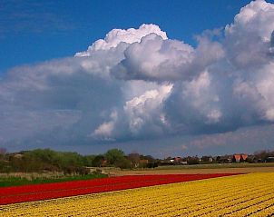 Unterkunft 4503152 - Ferienhaus Noordzeekust - Vakantiehuis 