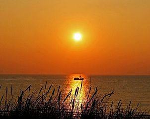 Unterkunft 4503152 - Ferienhaus Noordzeekust - Vakantiehuis 