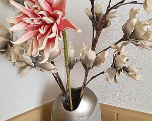 Unterkunft 4503155 - Ferienhaus Noordzeekust - Vakantiehuis Sommerhaus in ruhiger Lage mit privatem Garten 