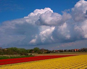 Unterkunft 4503155 - Ferienhaus Noordzeekust - Vakantiehuis Sommerhaus in ruhiger Lage mit privatem Garten 