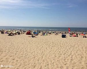 Unterkunft 4503197 - Appartement Noordzeekust - Strand 166