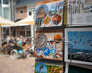 Unterkunft 4503241 - Ferienhaus Noordzeekust - HuizeDuin