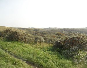 Unterkunft 4503252 - Ferienhaus Noordzeekust - 445108