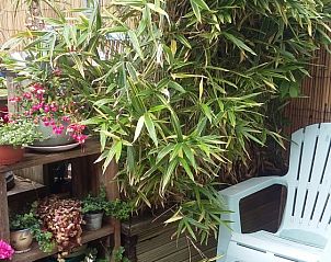 Guest house 450349 - Holiday property Noordzeekust - Zomerhuis De Graaff