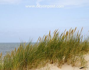 Duinenlandschap bij Callantsoog de Seinpost nr 9, vakantiehuis aan de Noordzeekust, Noord-Holland.