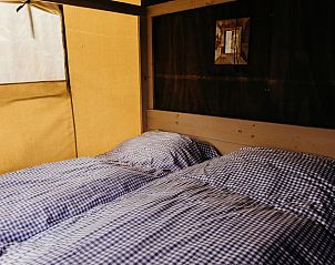 Unterkunft 4504100 - Ferienhaus Noordzeekust - Wood Lodge