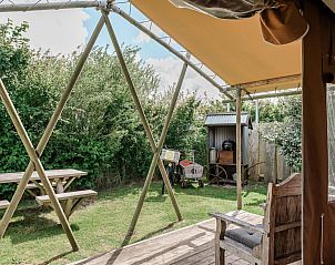 Unterkunft 4504101 - Zelthaus Noordzeekust - Duynlodge