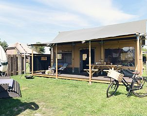 Unterkunft 4504118 - Zelthaus Noordzeekust - Beach Lodge Groot