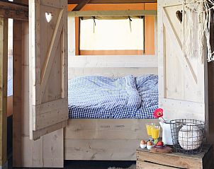 Unterkunft 4504118 - Zelthaus Noordzeekust - Beach Lodge Groot