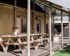 Unterkunft 4504118 - Zelthaus Noordzeekust - Beach Lodge Groot