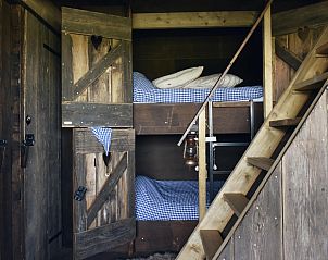 Unterkunft 4504118 - Zelthaus Noordzeekust - Beach Lodge Groot