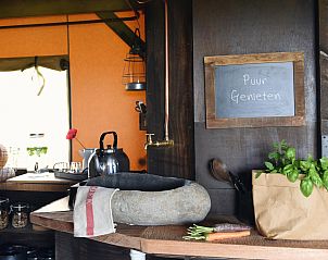 Unterkunft 4504118 - Zelthaus Noordzeekust - Beach Lodge Groot