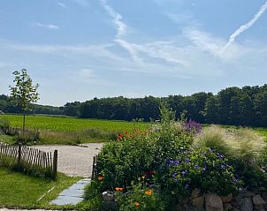 Natural surroundings of Holiday home in Callantsoog on the North Sea coast in North Holland.