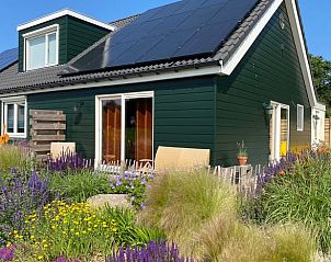Vacation home in Callantsoog with colorful garden, located on the North Sea coast in North Holland.