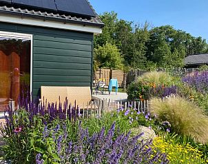 Floral garden at Holiday home in Callantsoog, North Sea coast, North Holland.