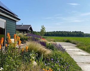 Beautiful flowers at Holiday home in Callantsoog, North Sea coast, North Holland.