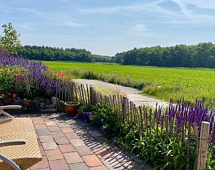 Sunny terrace with view at Holiday home in Callantsoog, North Sea coast, North Holland.