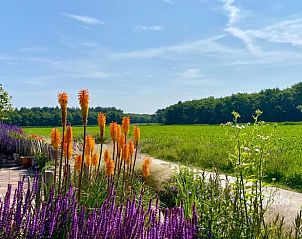 Restful nature at Holiday home in Callantsoog, North Sea coast, North Holland.