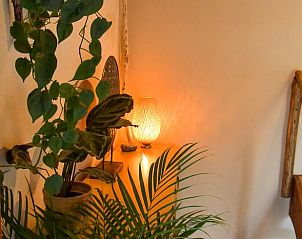Attractive corner with plants in Holiday home in Callantsoog, North Sea coast, North Holland.